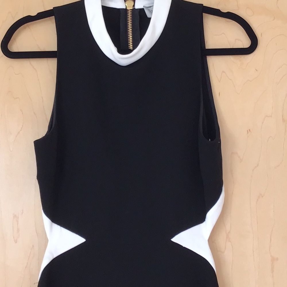 Rachel Zoe Constance Dress  $345.00 - Picture 5 of 10